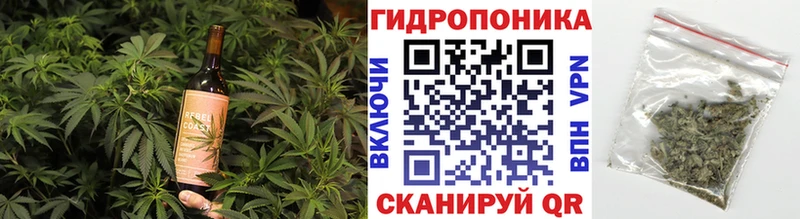 Canna-Cookies конопля Новая Ладога