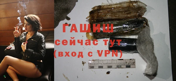 стаф Дмитров