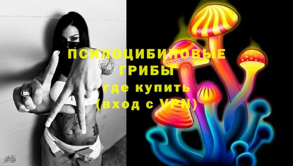 стаф Дмитров