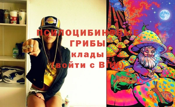 альфа пвп Дмитровск