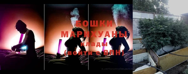 стаф Дмитров
