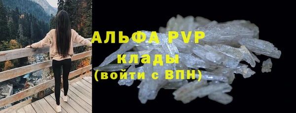 стаф Дмитров