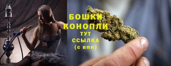 альфа пвп Дмитровск
