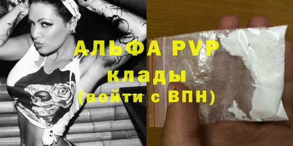 стаф Дмитров