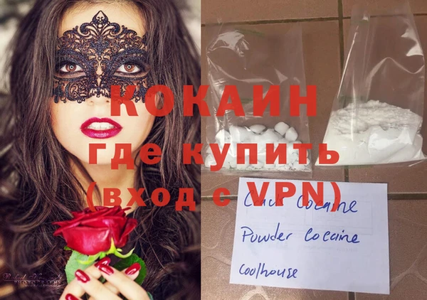 стаф Дмитров