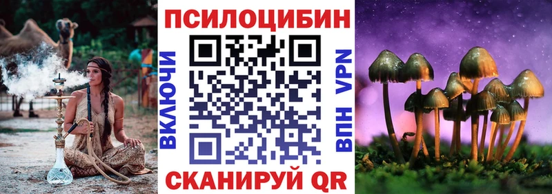 даркнет сайт Новая Ладога Псилоцибиновые грибы GOLDEN TEACHER
